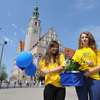 Żółte tulipany na Dzień Europy w Olsztynie