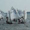 Puchar Trzech Ryb Energa Saling Cup na jeziorze Niegocin
