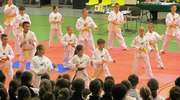 Techniczne Mistrzostwa Polski w Taekwondo Olimpijskim