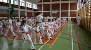 Karatecy z Olecka zdawali trudny egzamin