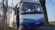 Szkolny autobus uderzył w drzewo. 10 dzieci w szpitalu