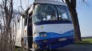 Szkolny autobus uderzył w drzewo. 10 dzieci w szpitalu