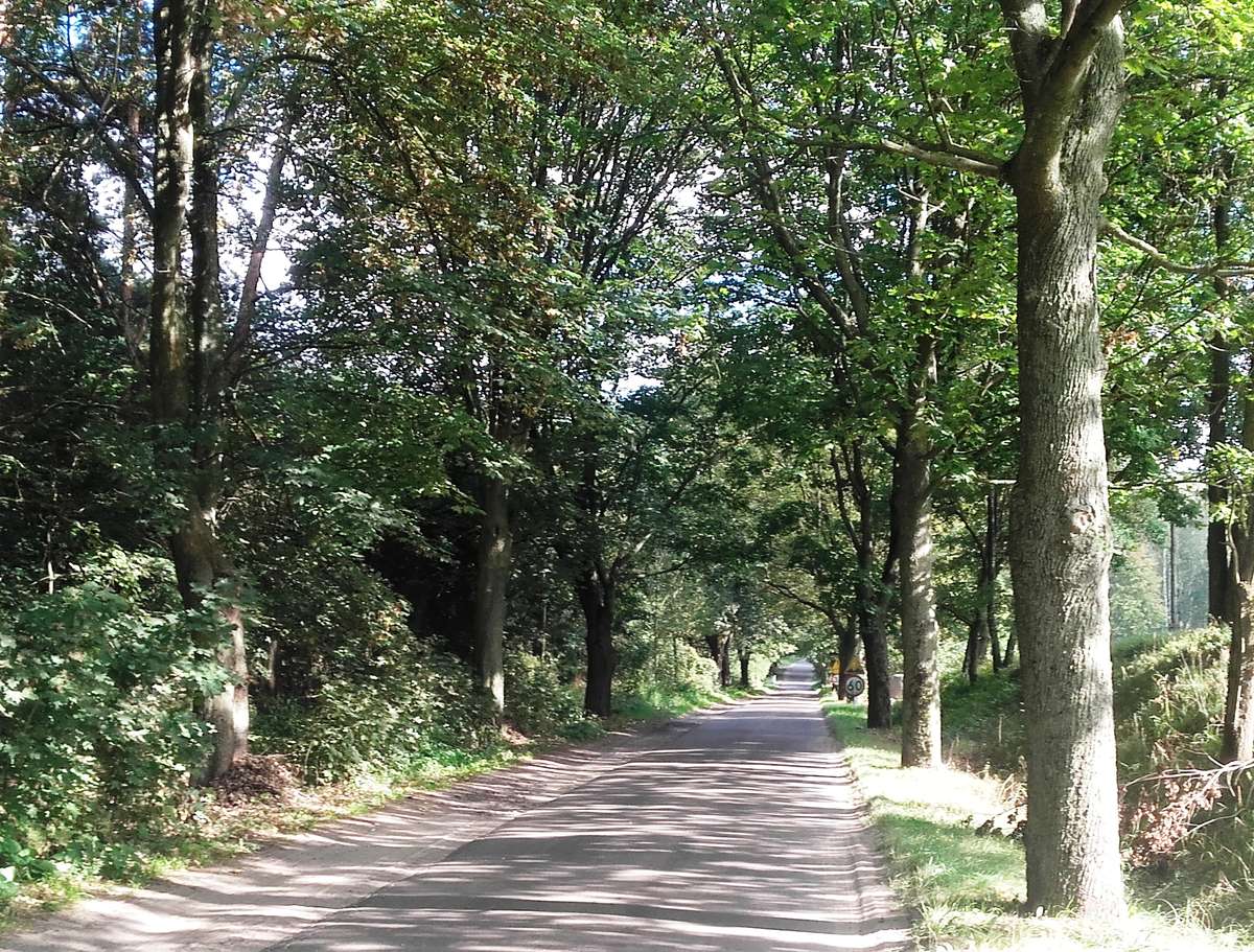 Droga Barczewko - Łęgajny