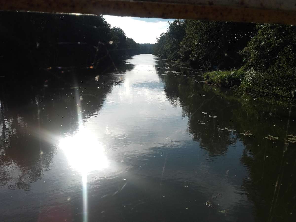 Wadąg widziany z mostu w Zalbkach
