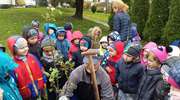 Światowy Dzień Drzewa – "Jabłoń Uszatka"