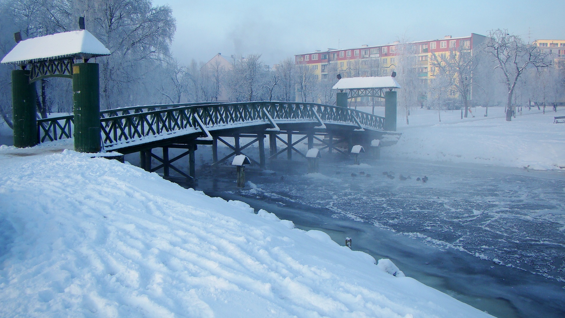 http://m.wm.pl/2017/12/orig/0000047990-dsc02105-434656.jpg