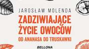CZYTAM BO LUBIĘ: Zadziwiające życie owoców