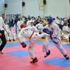 2. turniej Profesjonalnej Ligi Taekwondo 2018