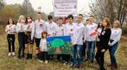 100 drzewek na 100 rocznicę odzyskania niepodległości