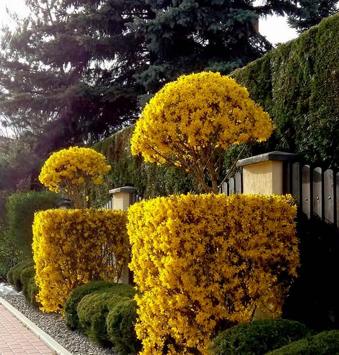 http://m.wm.pl/2019/01/orig/umarysi5-520349.jpg