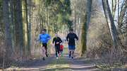 86 Parkrun Działdowo już jutro!