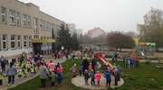Dzień Ziemniaka w Odkrywcach