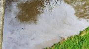 Zanieczyszczenie Drwęcy. Strażacy interweniowali