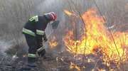 Pożar 100 ha na poligonie wojskowym