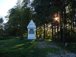 Bogusze: słup graniczny z 1545 roku