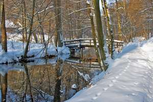 Zimowe krajobrazy: jezioro Nidzkie i rzeka Nidka