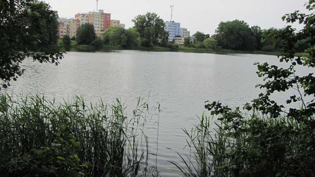 Widok na akademiki UWM przez jezioro Stary Dwór - full image