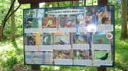 Arboretum leśne w Kudypach