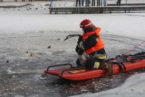 Strażacy wyjeżdżali do przymarzniętych do lodu zwierząt, ale też do zalanych piwnic i do... karetki
