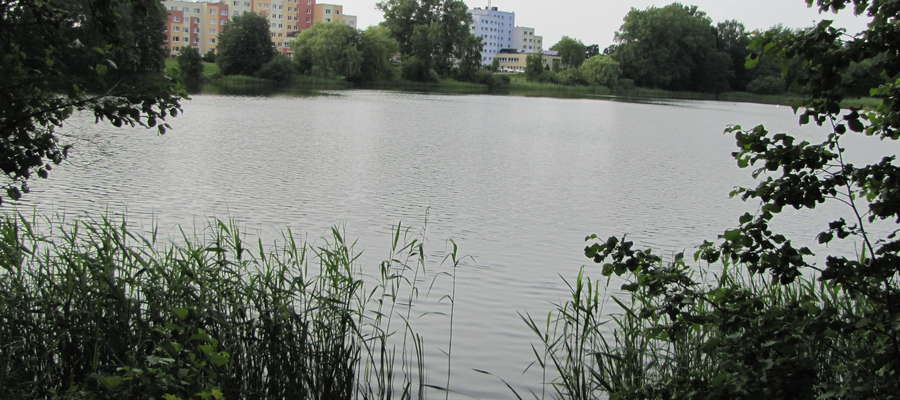 Widok na akademiki UWM przez jezioro Stary Dwór