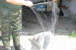 Złowili nielegalnie prawie 95 kg ryb na jeziorze Gaudy