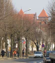 Widok na zamek