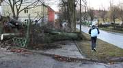 Silny wiatr powieje na Warmii i Mazurach. Meteorolodzy ostrzegają