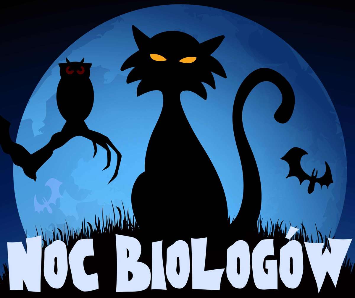 Sprawdź atrakcje Nocy Biologów w Olsztynie! - full image
