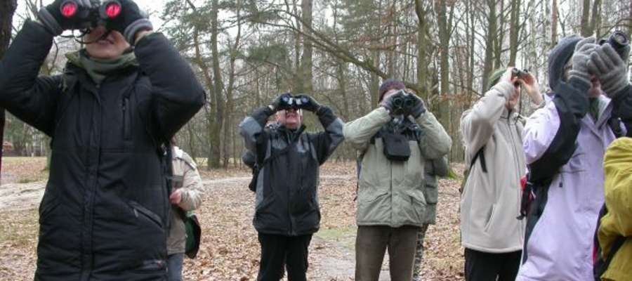 Przy okazji Zimowego Ptakoliczenia miłośnicy przyrody organizują wycieczki ornitologiczne