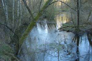Kajakiem przez Welski Park Krajobrazowy