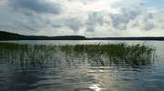 Jezioro Brzozolasek pełne (podobno) szczupaków