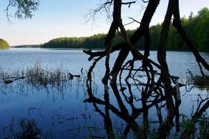 Jezioro Dejnowo: na dnie leżą niemieckie pojazdy z czasu II wojny