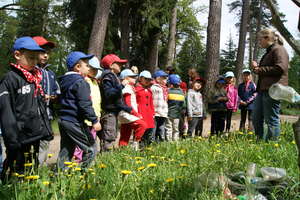 Kudypy: Leśne arboretum z Zielonym Laurem 