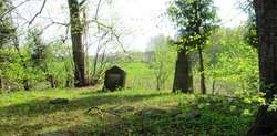Wierciejki: cmentarz z I wojny światowej 