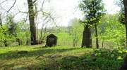 Wierciejki: cmentarz z I wojny światowej i resztki cmentarza ewangelickiego