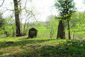 Wierciejki: cmentarz z I wojny światowej 