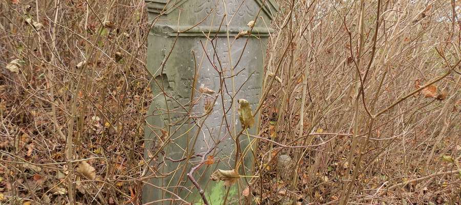 Ostatnia tablica nagrobna nidzickiego żyda stojąca na starym cmentarzy przy ul. Miłej