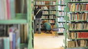 Na maraton czytania książek zaprasza Biblioteka Elbląska