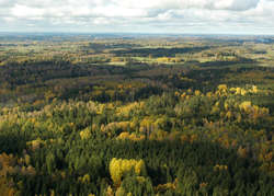 Rezerwat zajmuje nieco ponad 10 hektarów, prawie w całości porośniętych lasem
