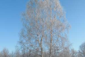 Warmia i Mazury zimą, czyli bajkowy świat