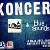 Koncert zespołów Loka i Blue Sounds