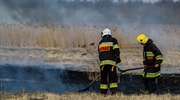 Pożar traw w miejscowości Węgle Żukowo