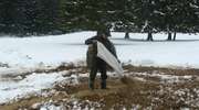 Zimowy kwiecień: leśnicy nadal dokarmiają zwierzynę