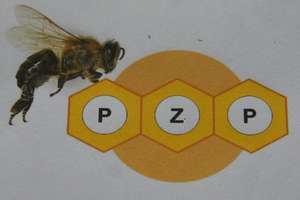Działdowscy pszczelarze zapraszają do konkursu plastycznego