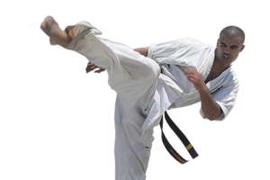 Mistrzowie karate poprowadzą w Iławie seminarium