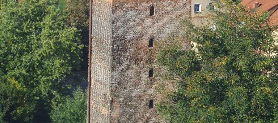 Widok na Wieżę Wodną z dzwonnicy na Wzgórzu Katedralnym, zwanej Wieżą Radziejowskiego