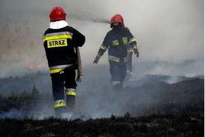 Strażacy: Wypalanie traw jest złą tradycją