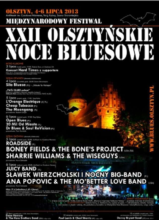 XXII Olsztyńskie Noce Bluesowe - full image
