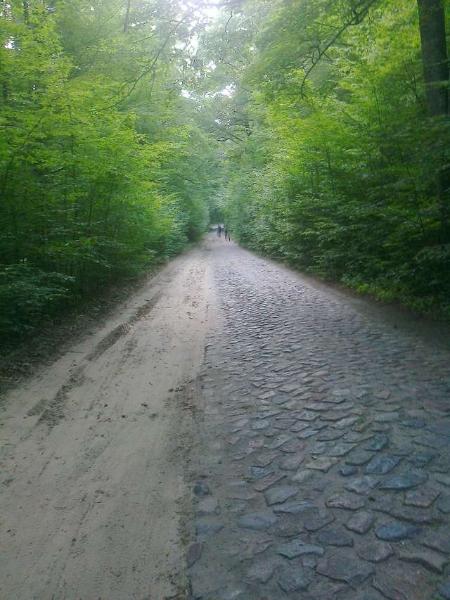 Droga Stare Jabłonki-Tomaszyn, Około 1-2 kilometrów za Starymi jabłonkami.