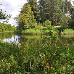 Rezerwat przyrody Boczki
